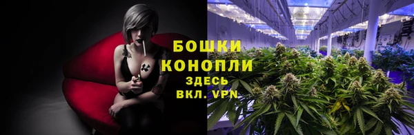твердый Беслан
